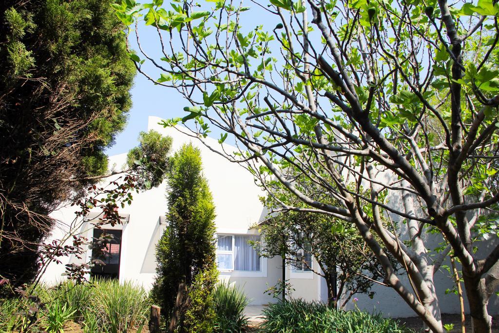 La Coscello Guest House Edenvale Eksteriør billede